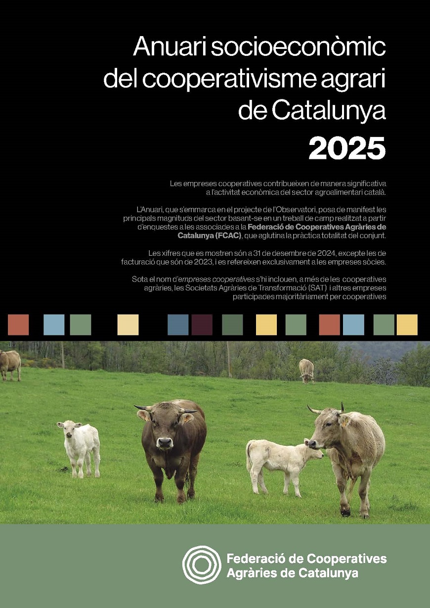 Anuari socioeconòmic 2020