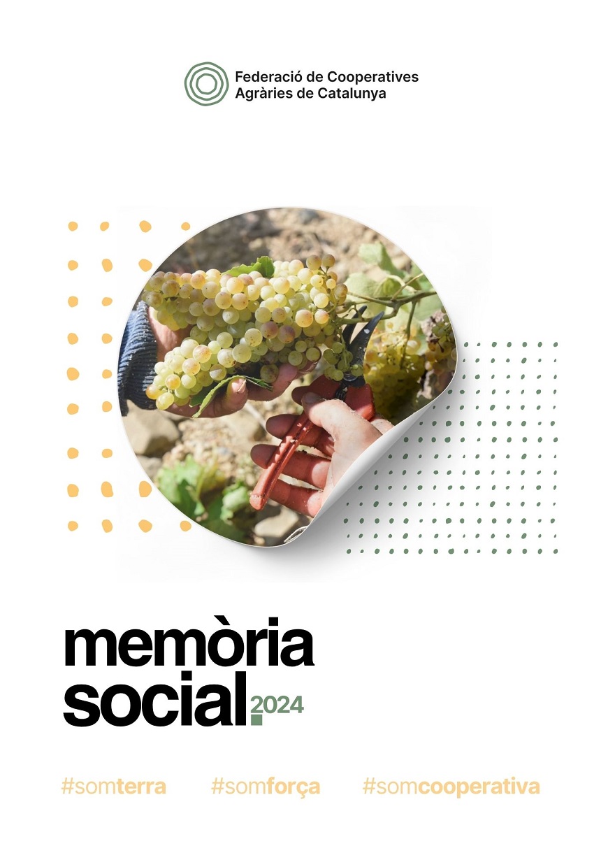 Memòria social 2020