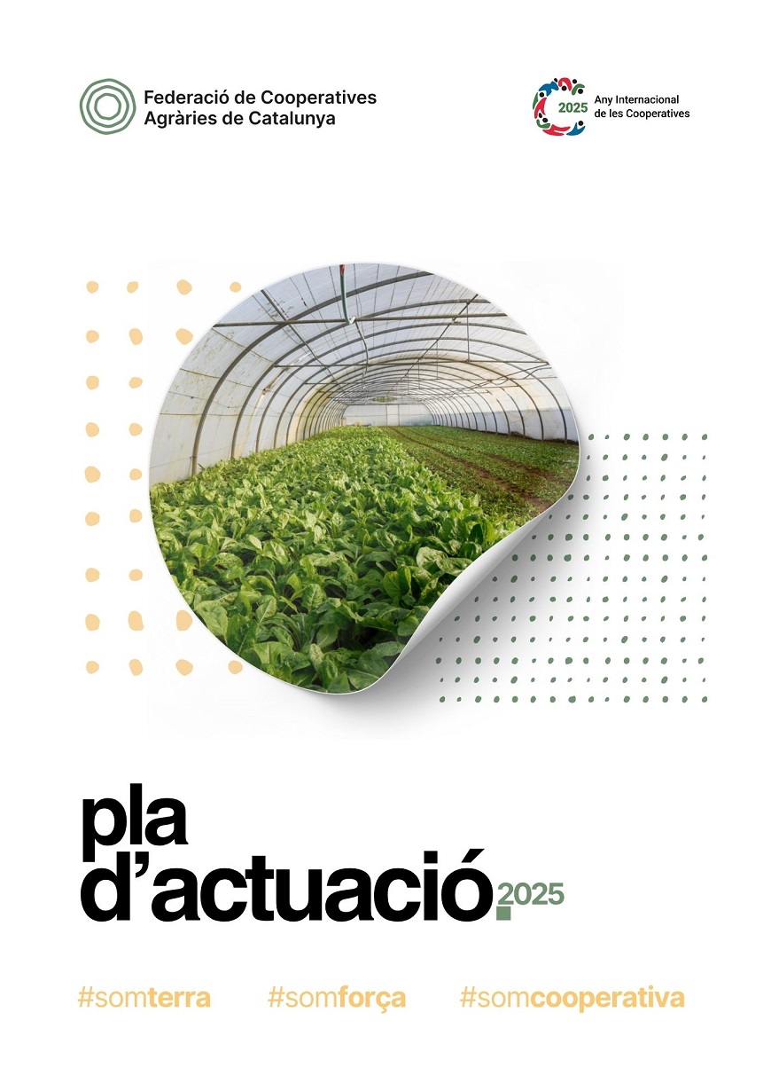 Pla d'actuació 2025