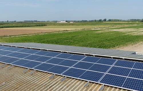 Plaques solars a la teulada d'una granja de vedells de la Cooperativa d'Ivars