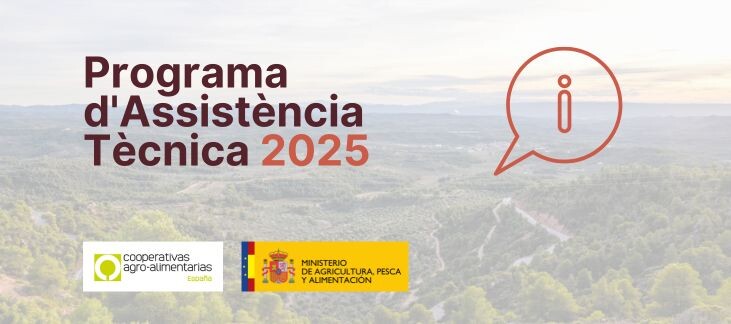 Assistència Tècnica 2025