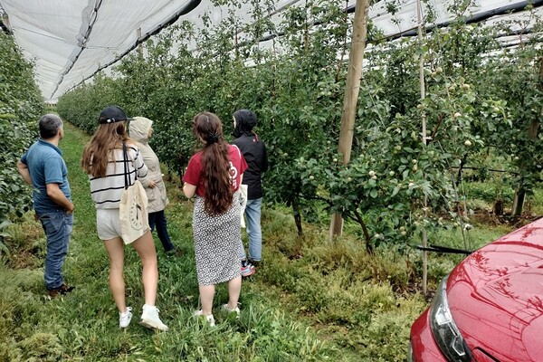Visita tècnica a camps de pomera de Girona Fruits