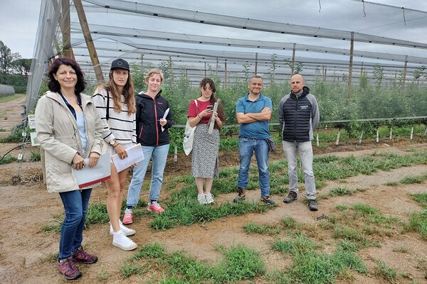 Visita tècnica a camps de pomera de Girona Fruits