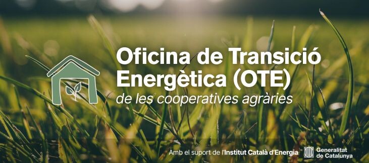 Oficina de Transició Energètica (OTE)