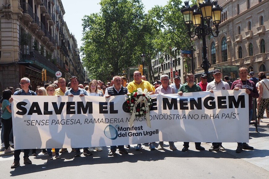Manifestació a Barcelona de la Plataforma Manifest del Gran Urgell